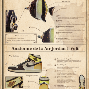 Anatomie du l'Idole des Maures et de la Air Jordan 1 Volt