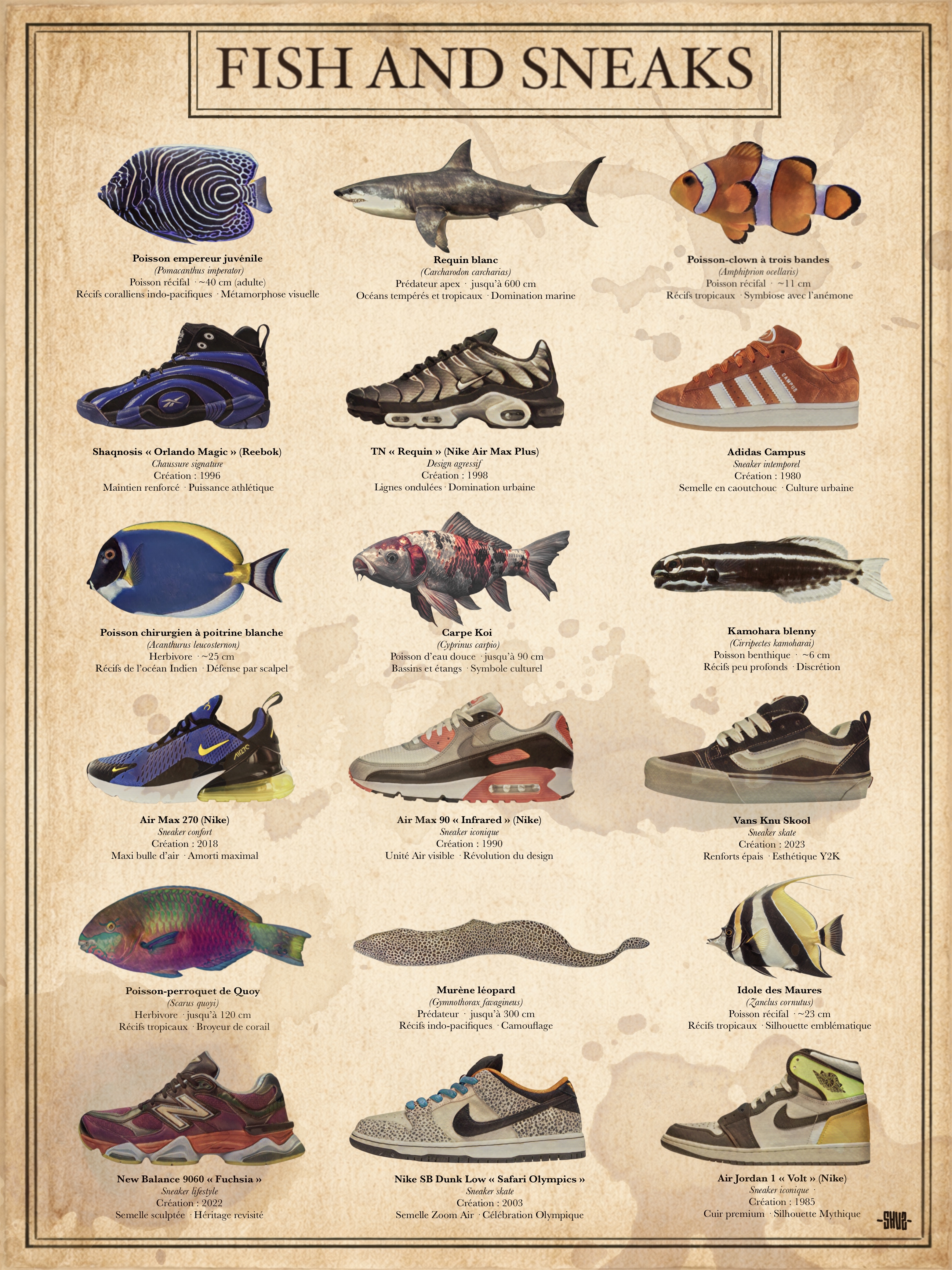 Fish and Sneaks : Tableau Scientifique
